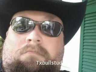 Txbullstud