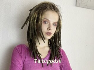 Taitegodsil