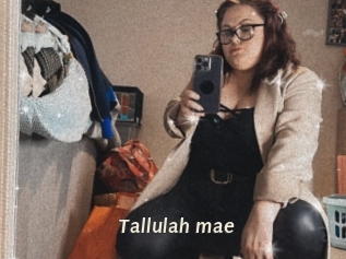 Tallulah_mae