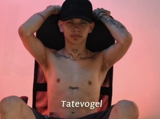 Tatevogel
