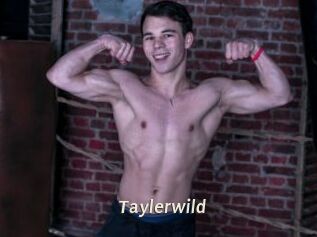 Taylerwild