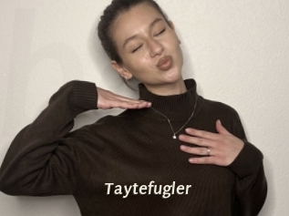 Taytefugler