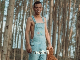 Teddhill