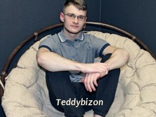 Teddybizon