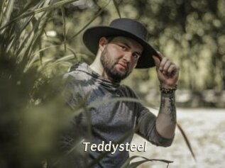 Teddysteel