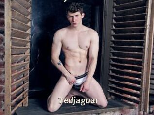 Tedjaguar