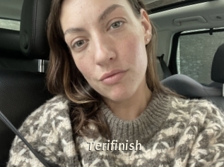Terifinish