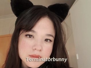 Terminatorbunny