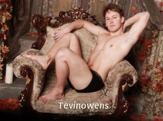 Tevinowens