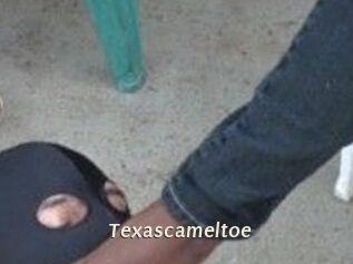 Texascameltoe