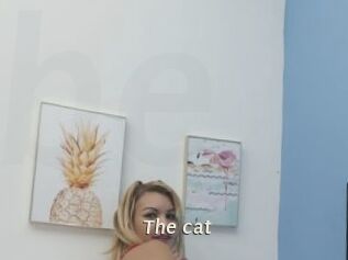 The_cat