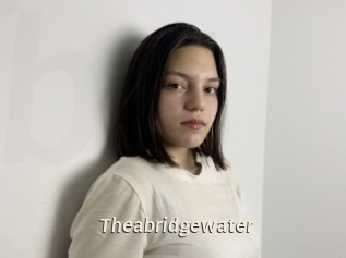 theabridgewater Blog éjac