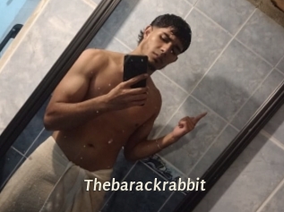 Thebarackrabbit