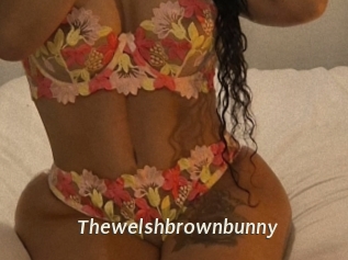 Thewelshbrownbunny