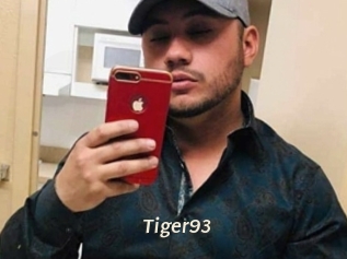 Tiger93
