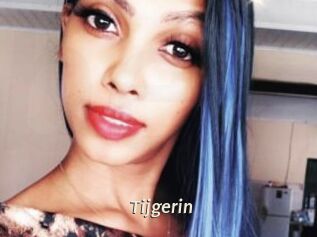 Tijgerin