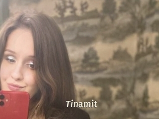 Tinamit