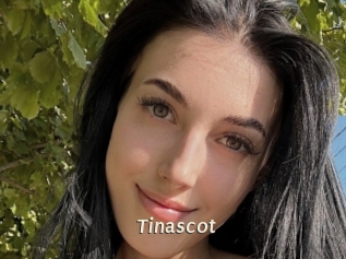Tinascot