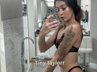 Tiny_taylorr