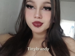 Tinybrandy