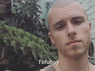 Tofu_boy