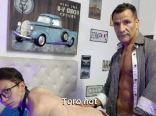 Toro_hot