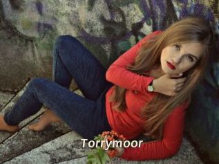 Torrymoor