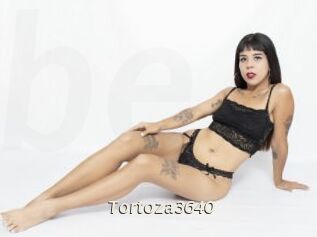 Tortoza3640