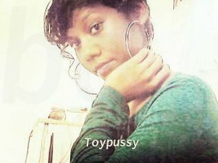 Toypussy