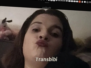 Transbibi