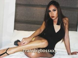 Transbigbossxxx