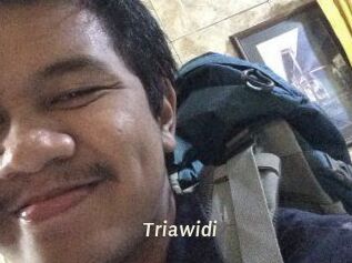 Triawidi