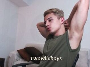 Twowildboys