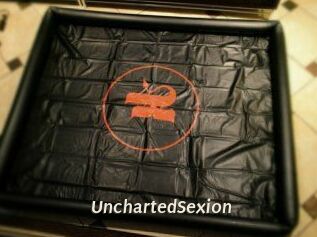 UnchartedSexion