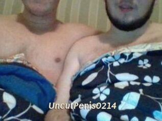 UncutPenis0214