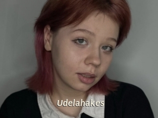 Udelahakes