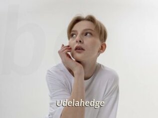 Udelahedge