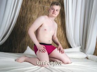 Urnicepitt