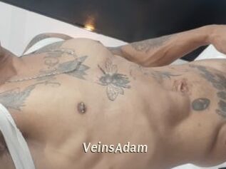 VeinsAdam