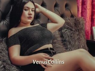 VenusCollins