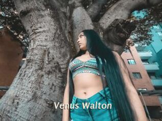 Venus_Walton