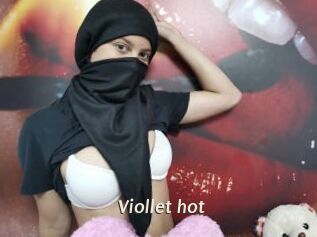 Viollet_hot