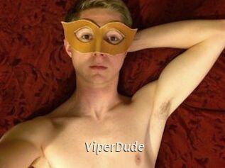 ViperDude