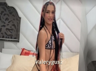 Valerygusz