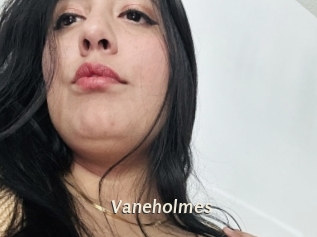 Vaneholmes
