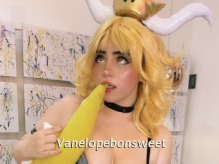 Vanelopebonsweet