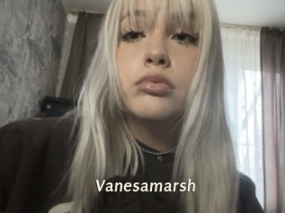Vanesamarsh
