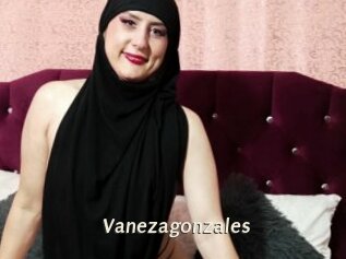 Vanezagonzales