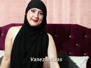Vanezaloizas
