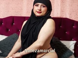 Vanezamarcial